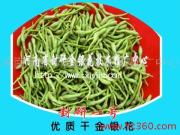 河南省封研金銀花技術(shù)推廣中心 專業(yè)相冊展現(xiàn)技術(shù)實力