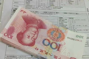 引領數字化未來 臨沂網站建設與全網優化推廣